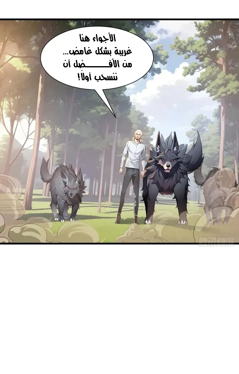 Chapter Image 5